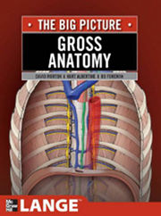 Gross Anatomy: The Big Picture cover image